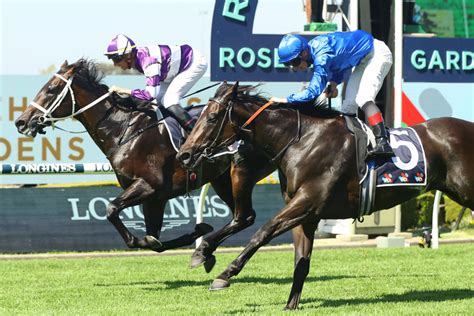 rosehill guineas odds|2024 Rosehill Guineas Odds .